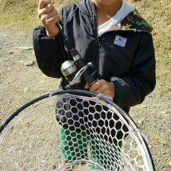 朽木渓流魚センタールアーフィールド