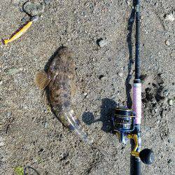 マゴチ釣れたけど・・大事な物を失った