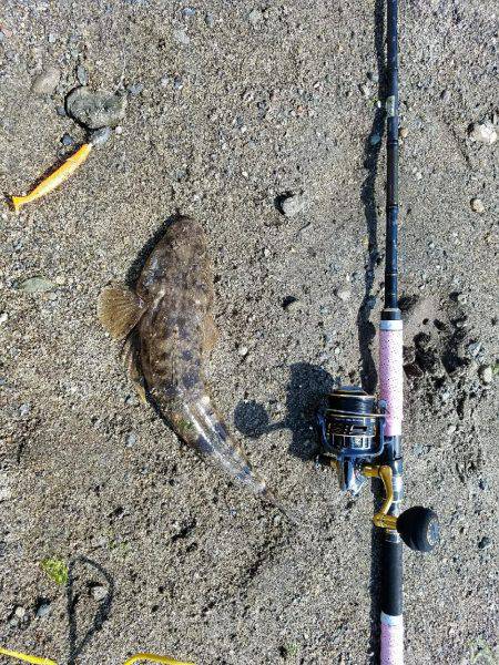 マゴチ釣れたけど・・大事な物を失った