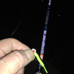 メバリングが(^^;;