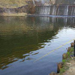 なごみの湖ライトエリア