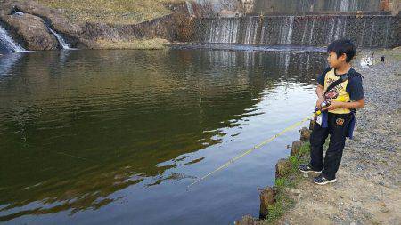 なごみの湖ライトエリア