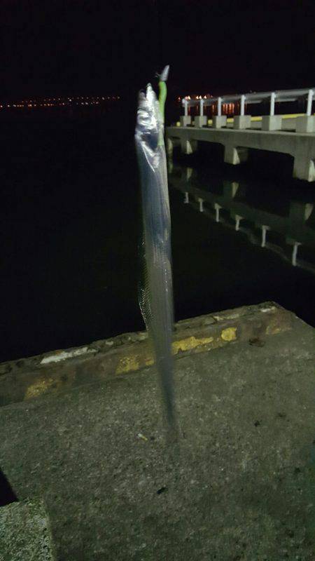 前島埠頭でメバリング