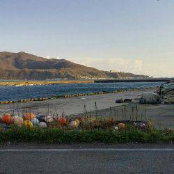 男鹿市戸賀漁港