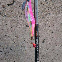 癒し系、コウちゃん