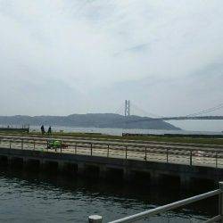 アジュール舞子でイワシ