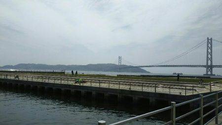 アジュール舞子でイワシ