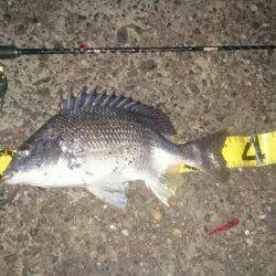 渋いぜチニング。