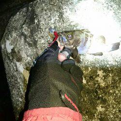 久しぶりの釣行