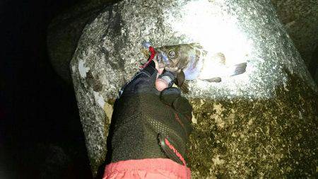 久しぶりの釣行