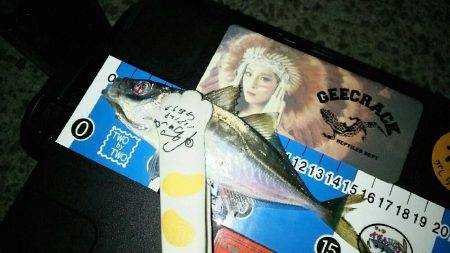 久しぶりに淡路島