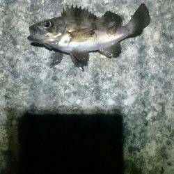 何時になったら？