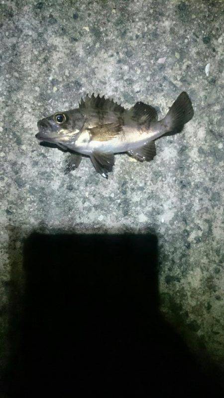 何時になったら？