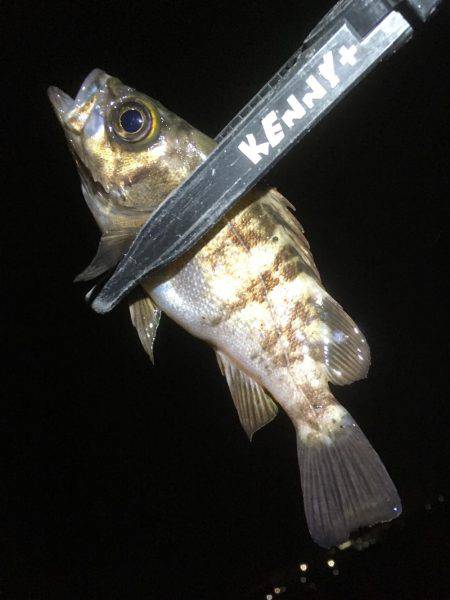 長いのよりも短いの。