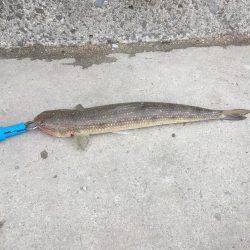 初めての青岸で