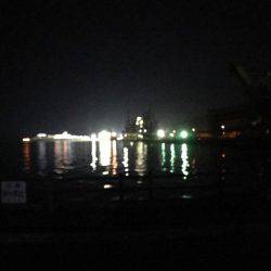 朝まずめが勝負時か?