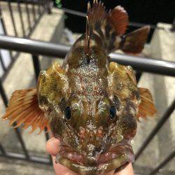 夕マズメに渾身の1匹☆