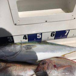 加太釣行いってきました！