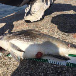 神戸港の沖堤にて