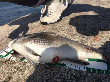 神戸港の沖堤にて