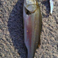 かぶと山公園にて(笑)。