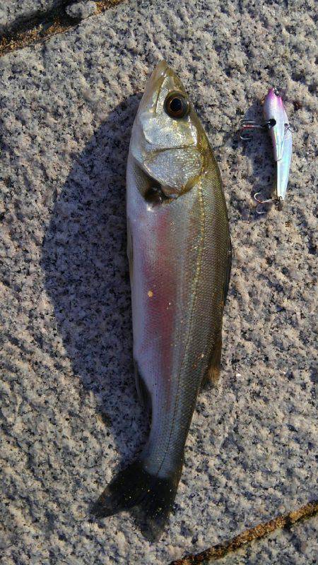 かぶと山公園にて(笑)。