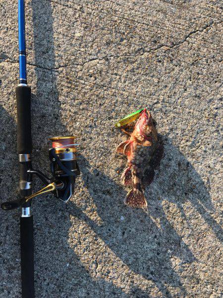 帰省での遠征！