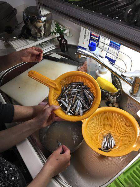 サビキ、ルアー