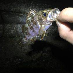 旅行のついでに