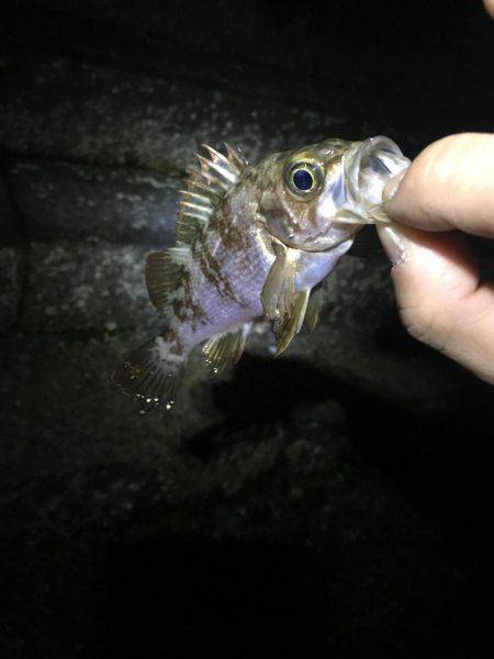 旅行のついでに