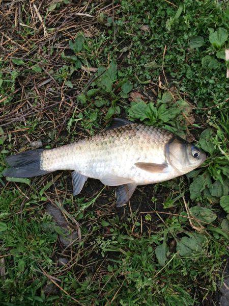 時間が空いたので(^-^)