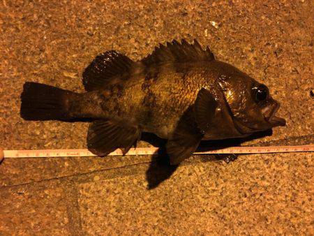 リベンジ成功!!