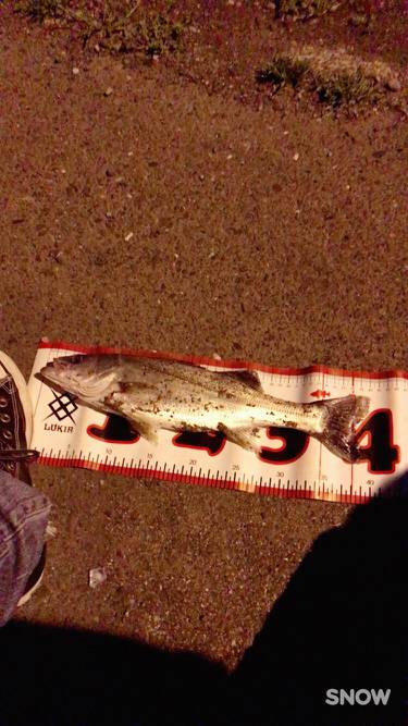 3人でフッコ1匹