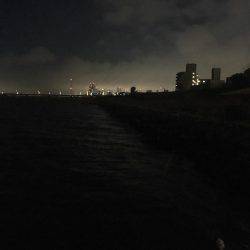 バイブレーションでシーバス