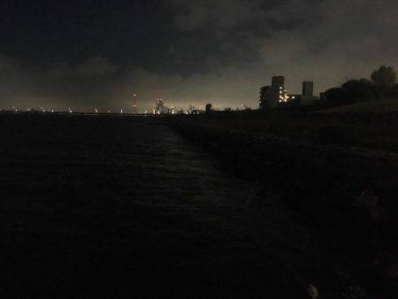 バイブレーションでシーバス