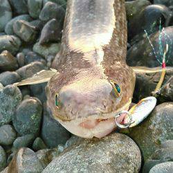 エソ1グランプリ