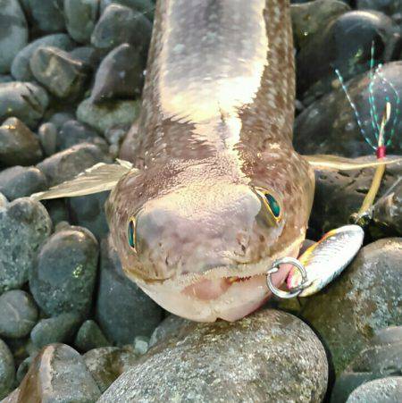 エソ1グランプリ