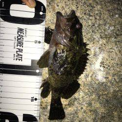 久々メバリング