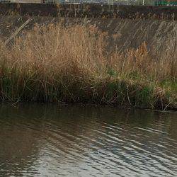 尺上でしたが…