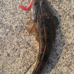 久美浜公園にて(笑)。