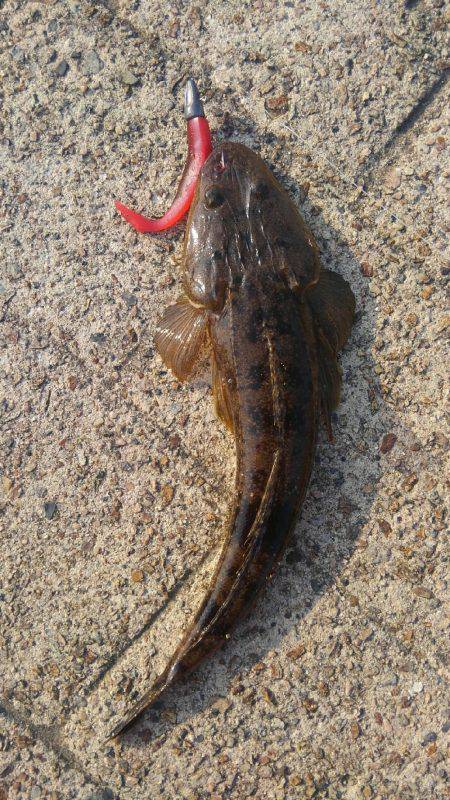 久美浜公園にて(笑)。