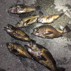 悪天候の中で。