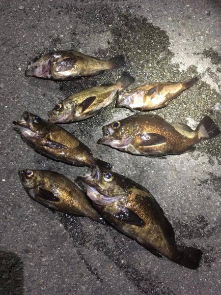 悪天候の中で。