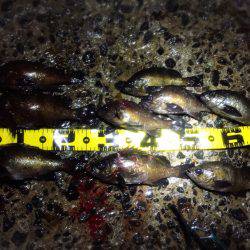 はじまりましたね！