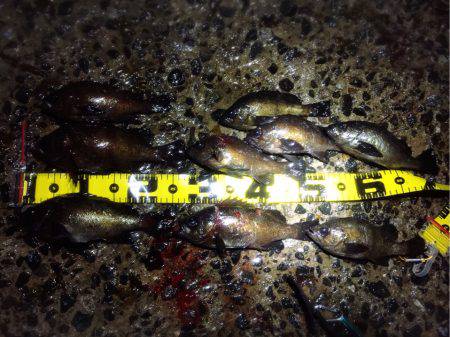 はじまりましたね！