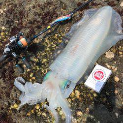 キロオーバーゲット！