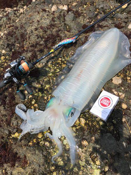 キロオーバーゲット！