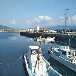 ファミリーフィッシング