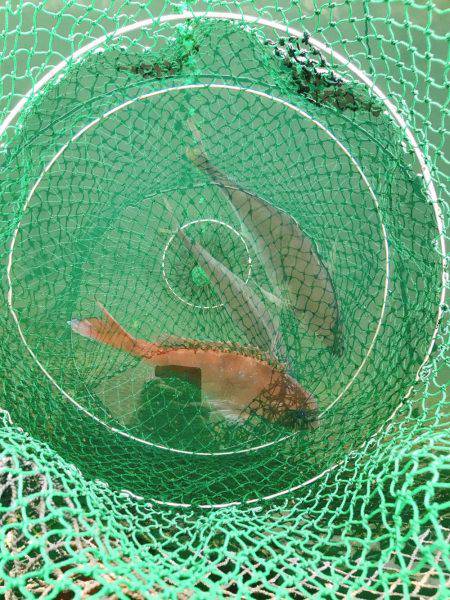 初めての釣り堀