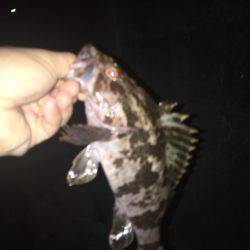 仕事終わりに。